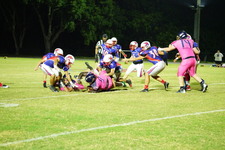 Enlarge photo 469