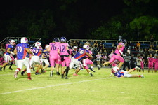 Enlarge photo 474