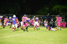 Enlarge photo 475