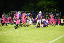Enlarge photo 478