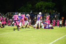 Enlarge photo 480
