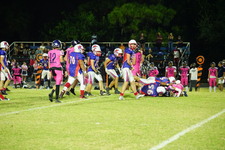 Enlarge photo 481