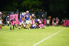Enlarge photo 482