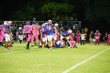 Enlarge photo 483