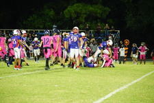 Enlarge photo 484