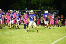Enlarge photo 486