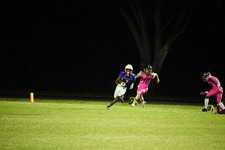 Enlarge photo 493