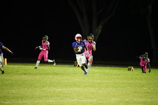 Enlarge photo 499