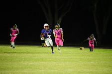 Enlarge photo 501