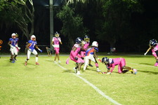 Enlarge photo 546