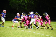 Enlarge photo 551