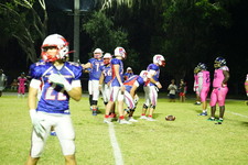 Enlarge photo 557
