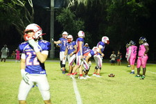 Enlarge photo 559