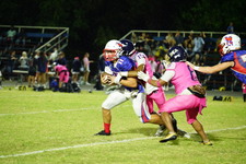 Enlarge photo 563