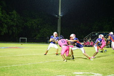 Enlarge photo 566