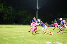 Enlarge photo 567