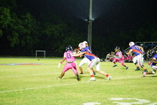 Enlarge photo 570
