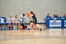 Enlarge photo 46