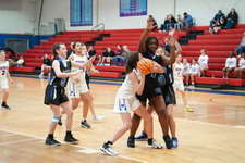 Enlarge photo 137