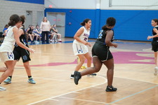 Enlarge photo 154