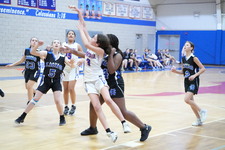 Enlarge photo 174