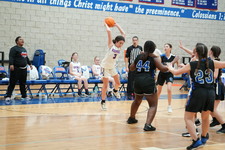 Enlarge photo 279