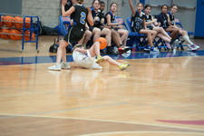 Enlarge photo 338