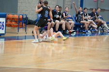 Enlarge photo 339