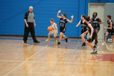 Enlarge photo 383