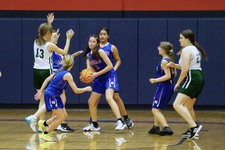 Enlarge photo 156