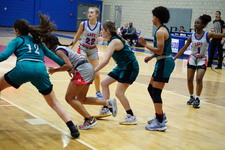 Enlarge photo 133