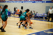 Enlarge photo 144