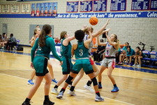 Enlarge photo 233