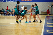 Enlarge photo 239