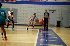 Enlarge photo 246