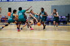 Enlarge photo 284