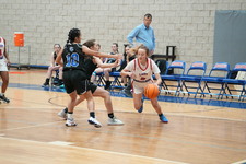 Enlarge photo 59