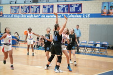 Enlarge photo 64
