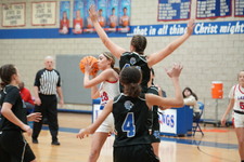 Enlarge photo 107