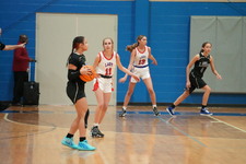 Enlarge photo 229