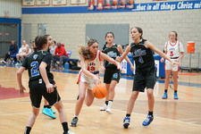 Enlarge photo 243