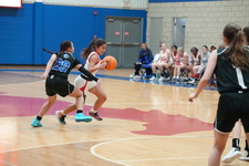 Enlarge photo 257