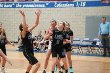 Enlarge photo 291