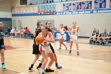 Enlarge photo 317