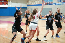 Enlarge photo 321