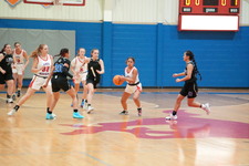 Enlarge photo 336