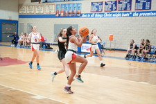 Enlarge photo 352