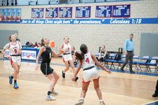 Enlarge photo 358