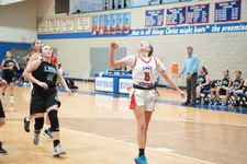 Enlarge photo 485