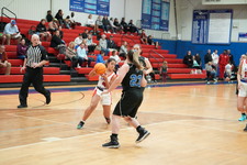 Enlarge photo 554
